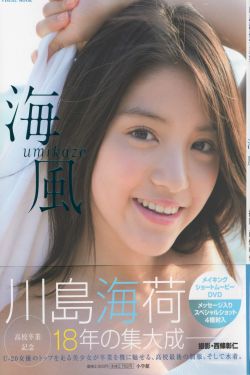 小城故事多 电视剧免费观看